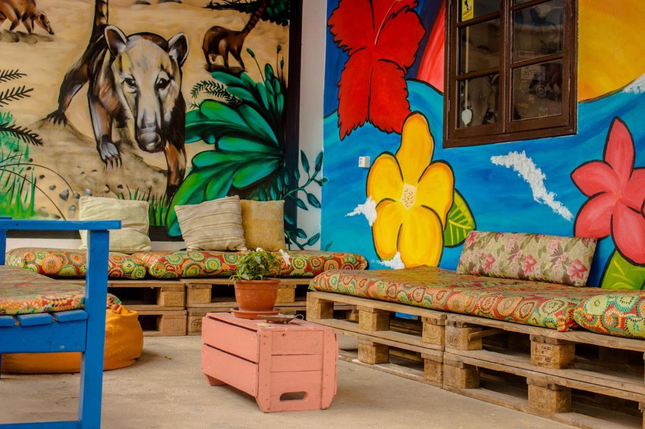 Florianópolis Floripa Surf Hostel מראה חיצוני תמונה